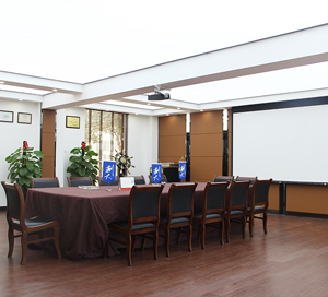 Conference room environment